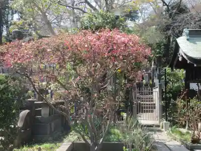 宗隆寺(神奈川県)