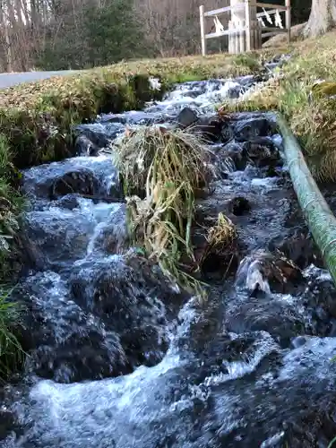 諏訪大社上社前宮の自然