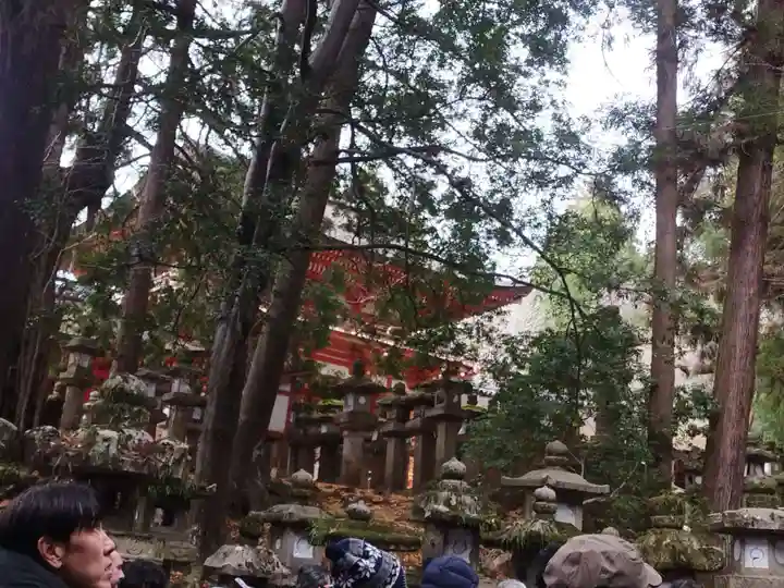 春日大社(奈良県)