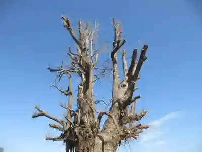 長照寺(埼玉県)