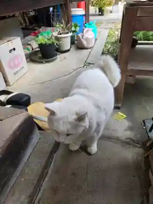 梅宮大社(京都府)