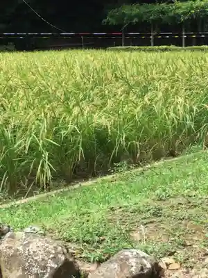 猿田彦神社のその他建物