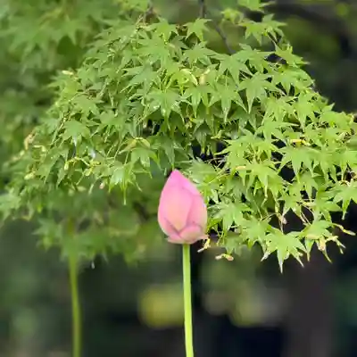 伊勢の国 四天王寺(三重県)