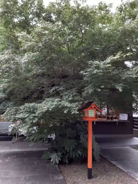 猿田彦神社の自然