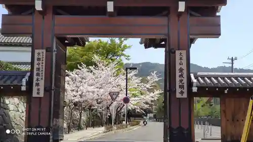 くろ谷 金戒光明寺の山門