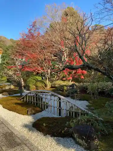 浄妙寺の庭園