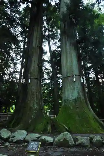 河口浅間神社(山梨県)