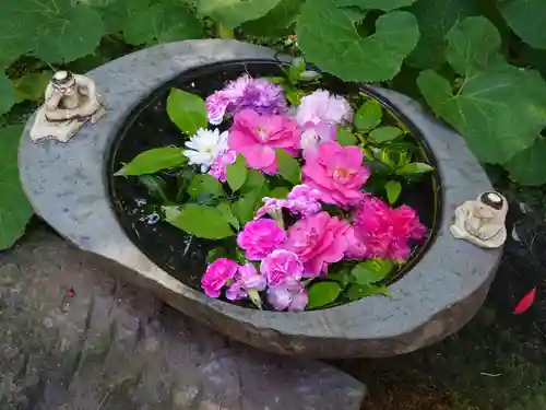 かっぱの寺 栖足寺の手水