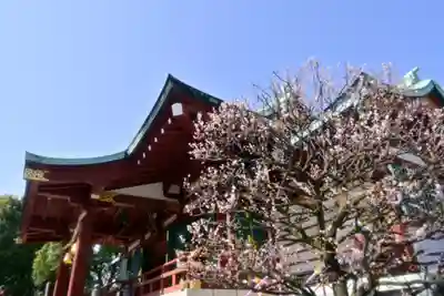 亀戸天神社(東京都)