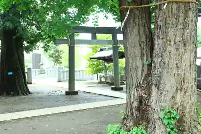 野崎八幡社(東京都)