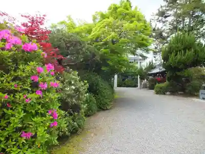 惣社神社のその他建物