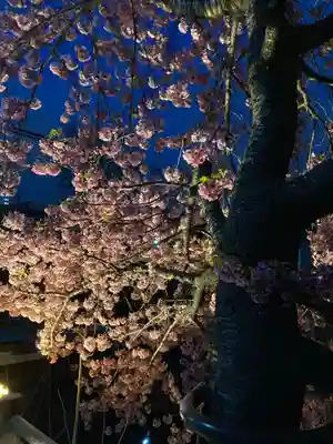 松戸神社(千葉県)