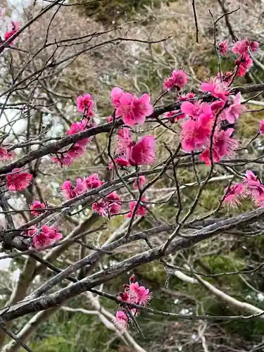 高麗神社(埼玉県)