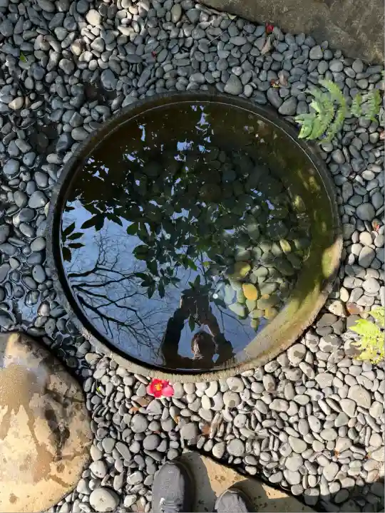 明治神宮(東京都)