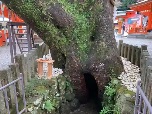 熊野那智大社のその他建物