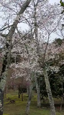 石山寺(滋賀県)