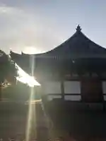 東寺(教王護国寺)の本殿・本堂