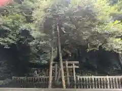 鹿島神宮の建物その他