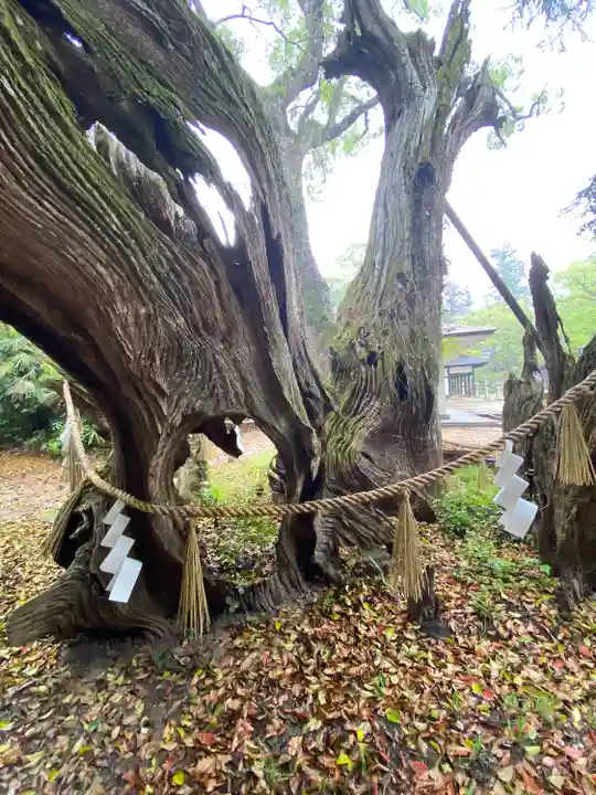 大山祇神社(愛媛県)