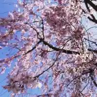 豊景神社(福島県)