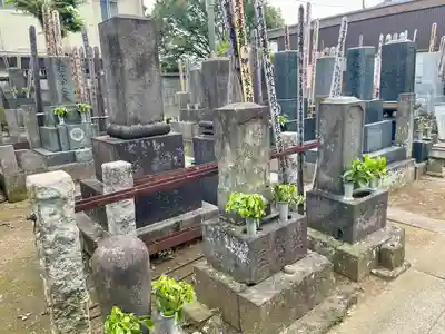 谷中 妙福寺(東京都)