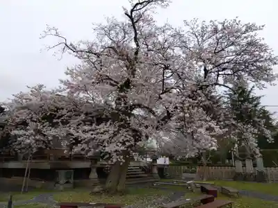 妙経寺(福井県)