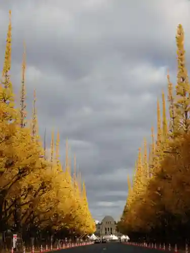 明治神宮(東京都)