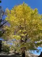 玉川神社の自然