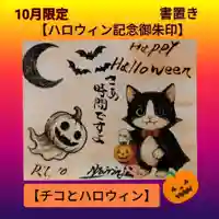 当山の寺ネコのチコです。普段からご参拝の皆さまに可愛がってもらってます。
オッドアイが魅力的です。