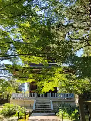 道場寺のその他建物