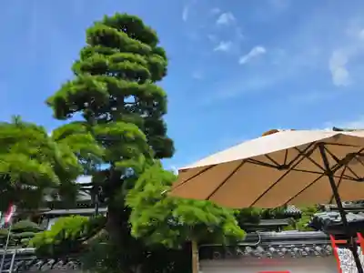 華蔵院（華藏院）(兵庫県)