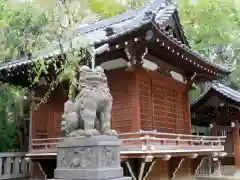 牛嶋神社の狛犬