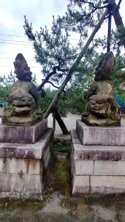 白山神社の狛犬