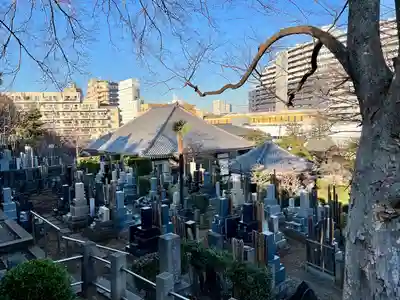 海晏寺のお墓