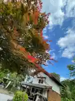 地蔵院(東京都)