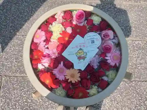 大念佛寺(大阪府)