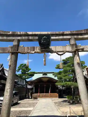 京都ゑびす神社の鳥居