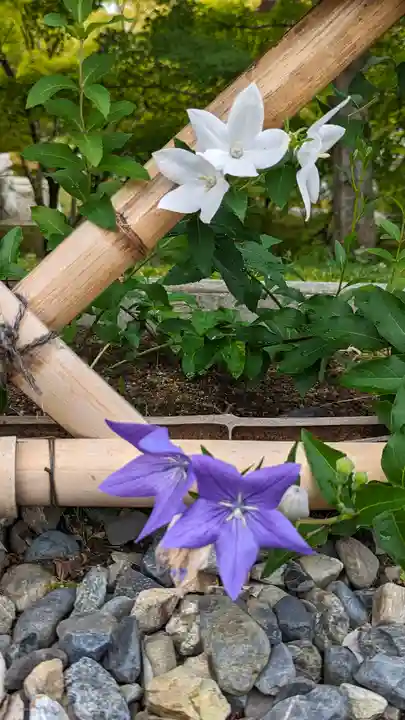 智積院(京都府)