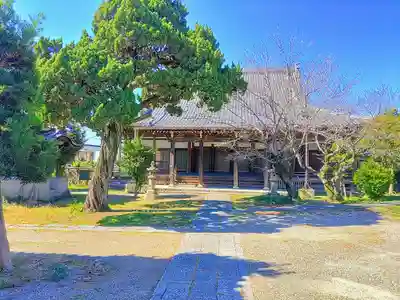 盛泉寺の本殿・本堂