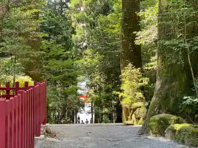 箱根神社のその他建物