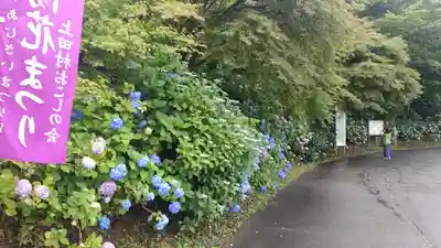 普門寺(岡山県)