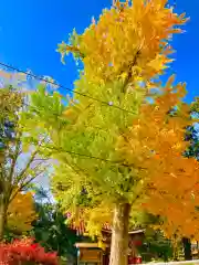 厳島神社の自然