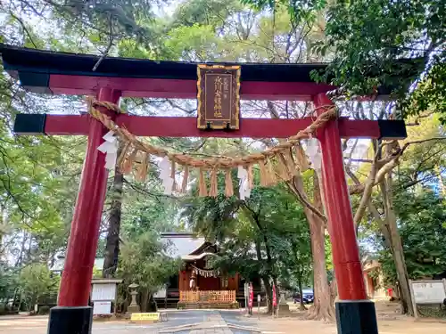 氷川女體神社(埼玉県)