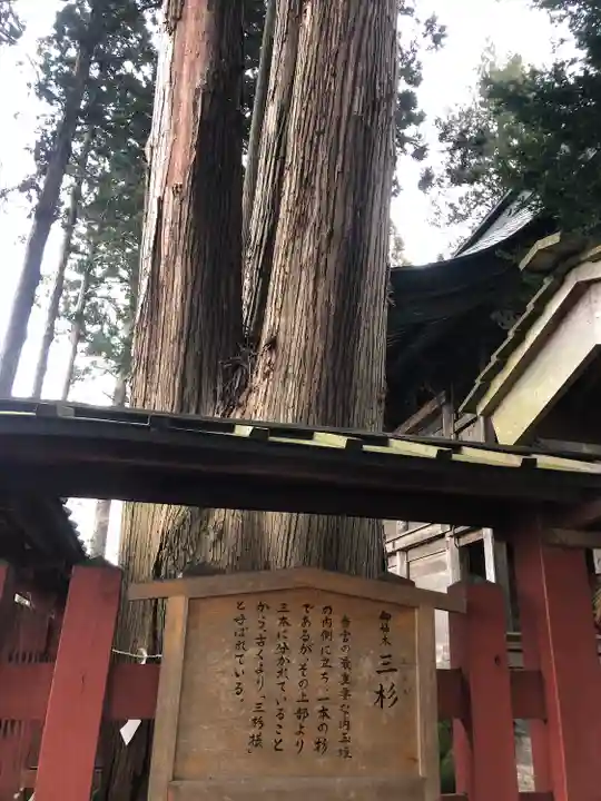 櫛引八幡宮(青森県)