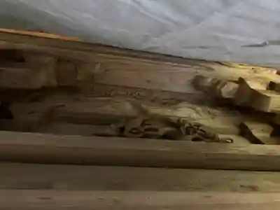 安岡神社の芸術