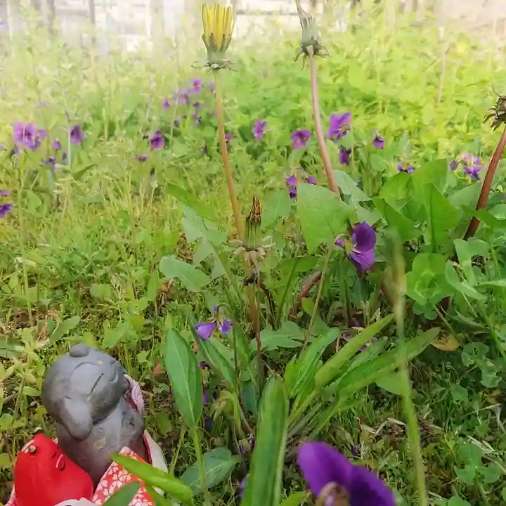 尾張大國霊神社(国府宮)の自然