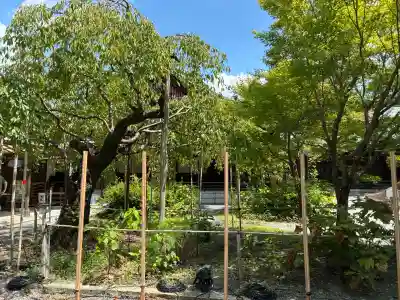 水無瀬神宮(大阪府)