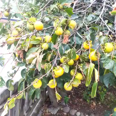 七重浜海津見神社(北海道)