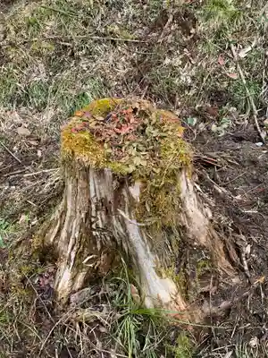 中ノ沢観音堂の自然