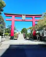 亀戸天神社の鳥居
